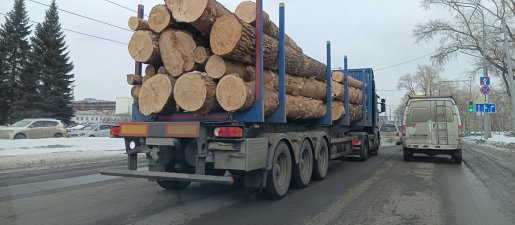 Поиск транспорта для перевозки леса, бревен и кругляка стоимость услуг и где заказать - Псков